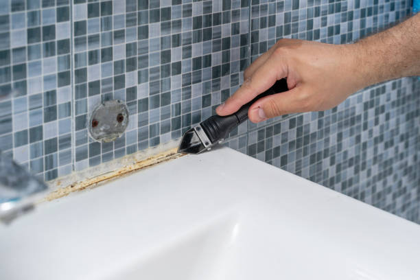 Best Mold Testing and Removal  in Mound, MN